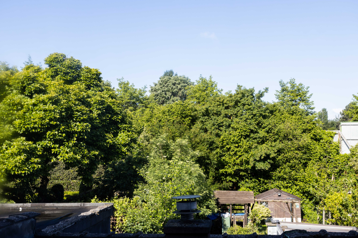 Immo Vastima - Huis Te huur Aalst - Rijwoning  met 4 slaapkamers en mooie tuin